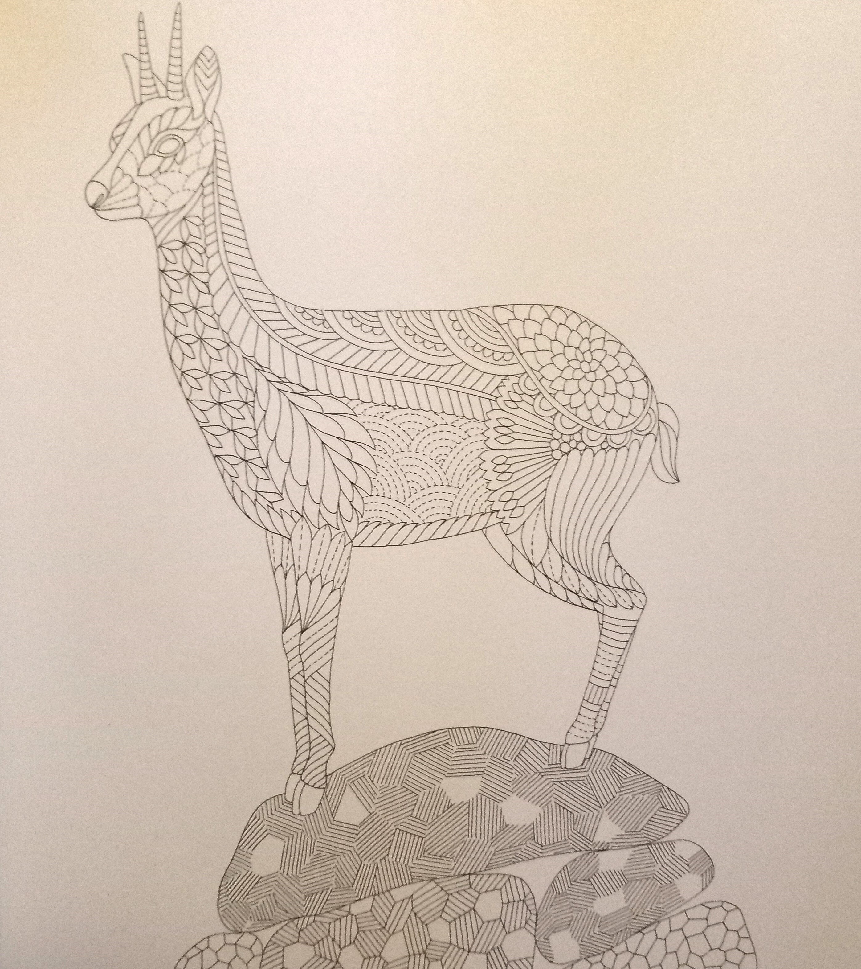 Wild Savannah ilustrace